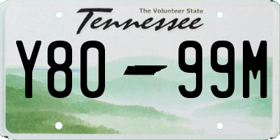 TN license plate Y8099M