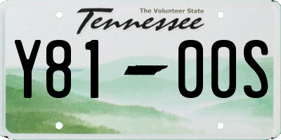 TN license plate Y8100S