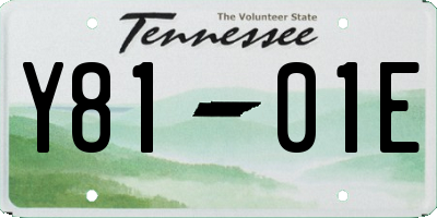 TN license plate Y8101E