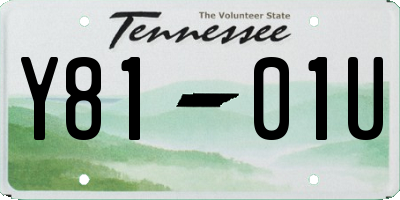 TN license plate Y8101U