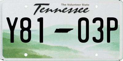 TN license plate Y8103P