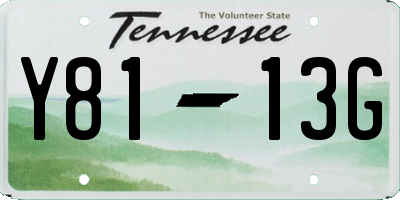 TN license plate Y8113G