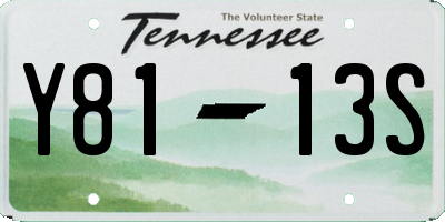 TN license plate Y8113S