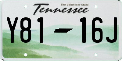 TN license plate Y8116J