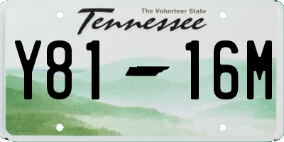 TN license plate Y8116M