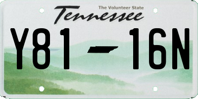 TN license plate Y8116N