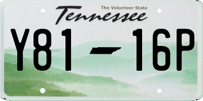 TN license plate Y8116P