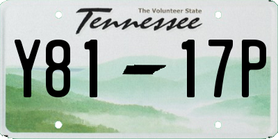 TN license plate Y8117P