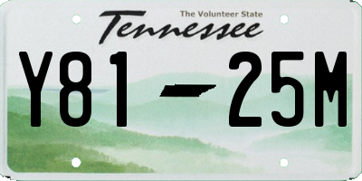 TN license plate Y8125M