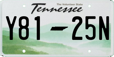 TN license plate Y8125N