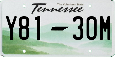 TN license plate Y8130M