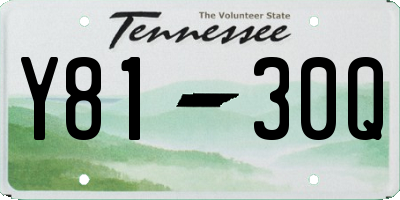 TN license plate Y8130Q