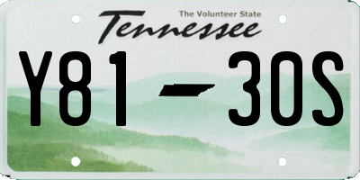 TN license plate Y8130S