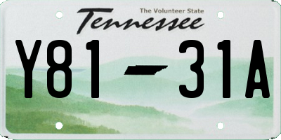 TN license plate Y8131A