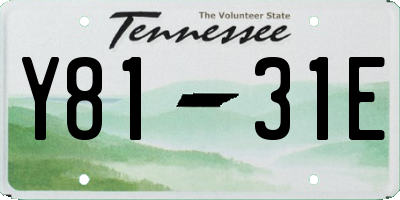 TN license plate Y8131E