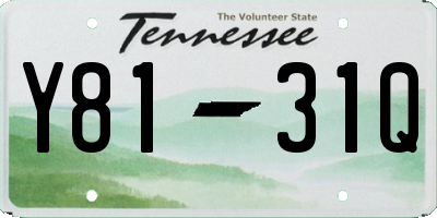 TN license plate Y8131Q