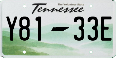 TN license plate Y8133E