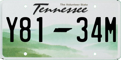 TN license plate Y8134M