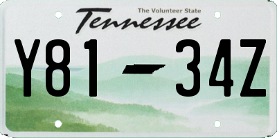 TN license plate Y8134Z