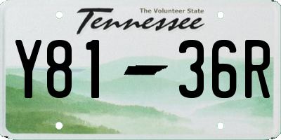 TN license plate Y8136R