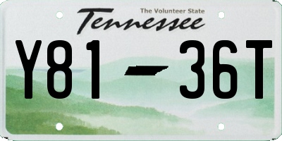 TN license plate Y8136T