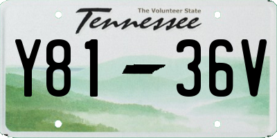 TN license plate Y8136V