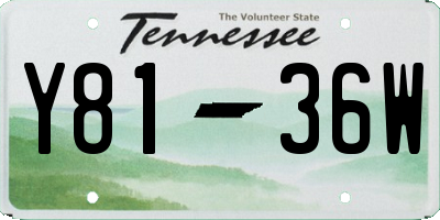 TN license plate Y8136W
