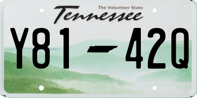 TN license plate Y8142Q