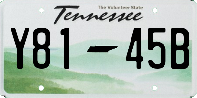 TN license plate Y8145B