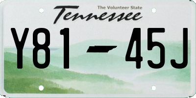 TN license plate Y8145J