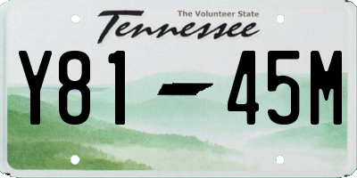 TN license plate Y8145M