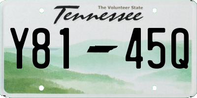 TN license plate Y8145Q
