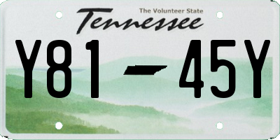 TN license plate Y8145Y