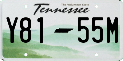 TN license plate Y8155M