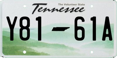 TN license plate Y8161A