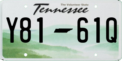 TN license plate Y8161Q