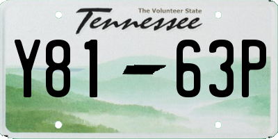 TN license plate Y8163P