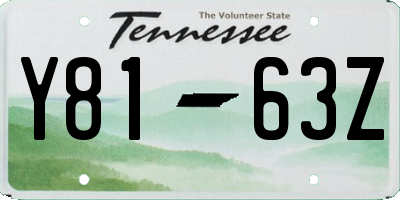 TN license plate Y8163Z