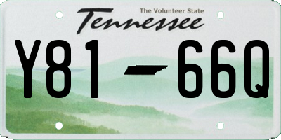 TN license plate Y8166Q