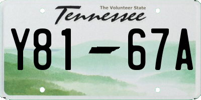 TN license plate Y8167A