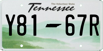 TN license plate Y8167R