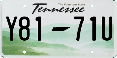 TN license plate Y8171U