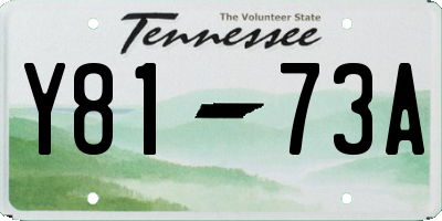 TN license plate Y8173A