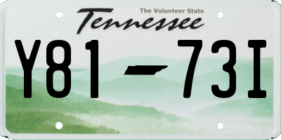 TN license plate Y8173I