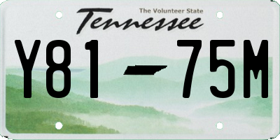 TN license plate Y8175M