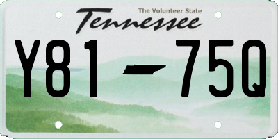 TN license plate Y8175Q