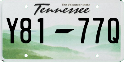 TN license plate Y8177Q