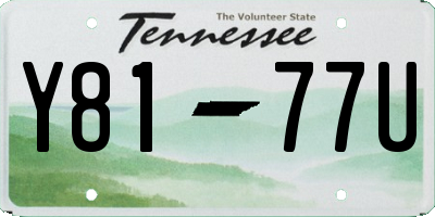 TN license plate Y8177U