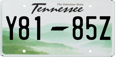 TN license plate Y8185Z