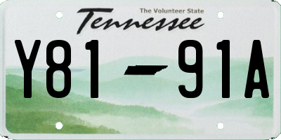 TN license plate Y8191A
